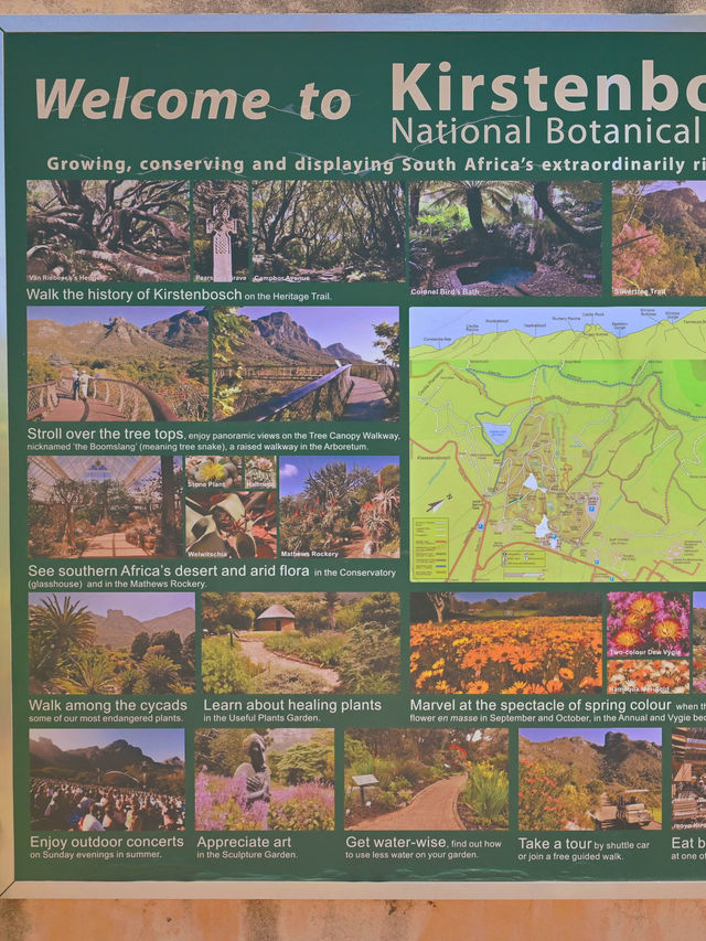 Kirstenbosch National Botanical ปลูกได้ที่เดียว