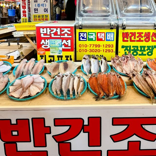 맛있는 것이 너무 많아 양손 무겁게 나오는 속초관광수산시장