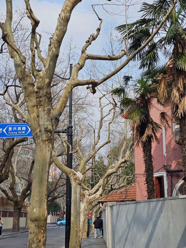 🇨🇳 상하이 핫플 추천 우캉루 武康路