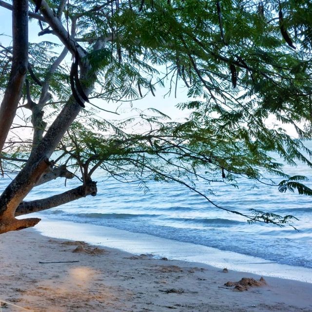 หาดค่ายเจษ