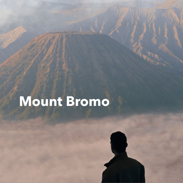 ภูเขาไฟที่สวยที่สุดที่เคยเห็นมา Mount Bromo 