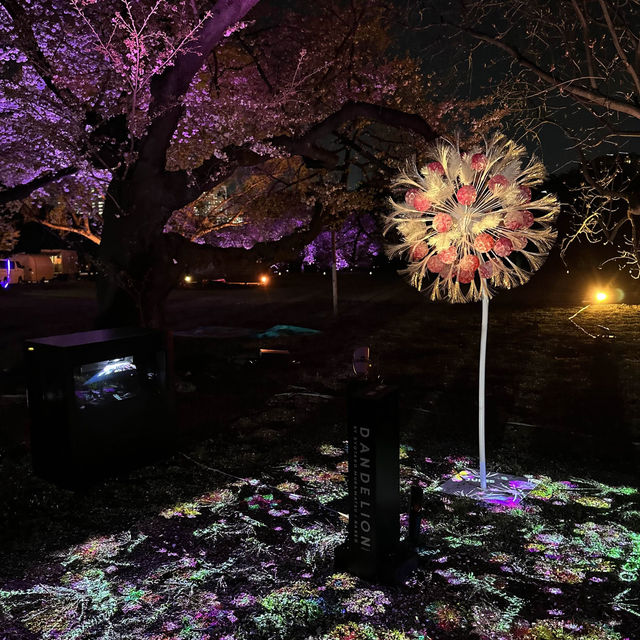 【桜攻略🌸】今年も実施‼️NAKEDの桜イベントまとめ