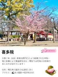 【喜多院/埼玉県】徳川家ゆかりの寺院で少し早い桜詣