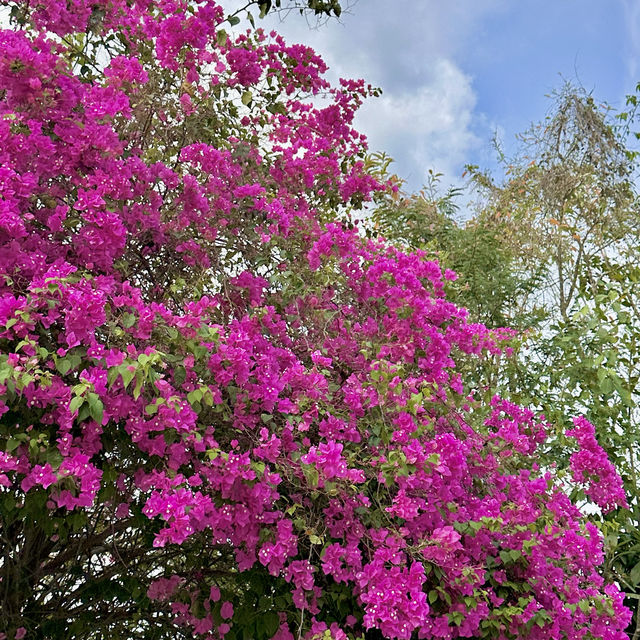 MhuanFun 🌸 คาเฟ่ริมน้ำสุดชิล #เปิดใหม่ #บ้านฉางระ