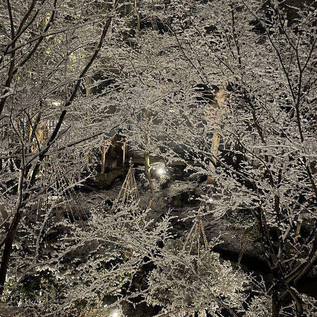 【会津若松】くつろぎを求めて🌿都心から3時間のプチ旅行