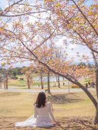 【淡路島】一年中お花が咲く美しい公園⛲️
