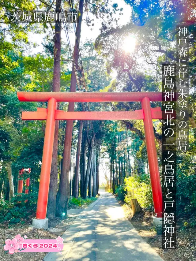 【鹿島神宮北の一之鳥居と戸隠神社/茨城県】神戸森に佇む朱塗りの鳥居