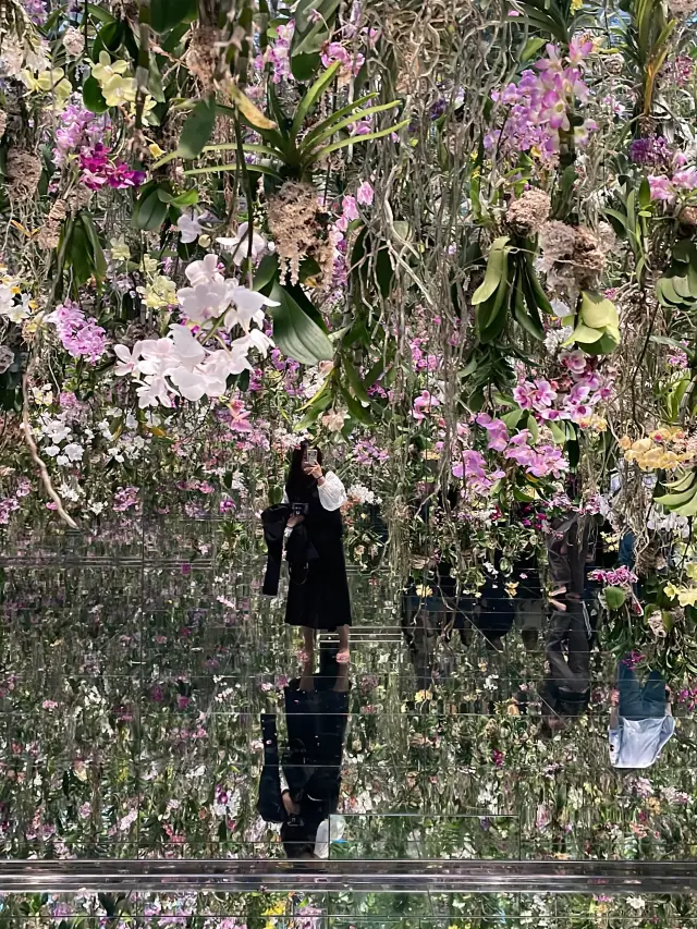 不去會後悔的東京人生美照景點