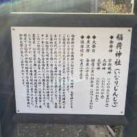 美しい赤色の鳥居に続くお稲荷様