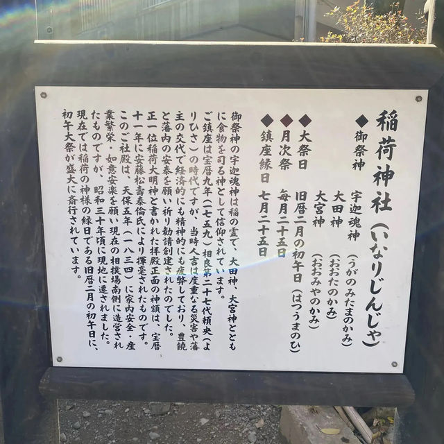 美しい赤色の鳥居に続くお稲荷様