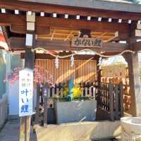 Kitano Tenman Shrine ขอพรการเรียนพุ่ง ความรักปัง