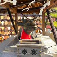 Kitano Tenman Shrine ขอพรการเรียนพุ่ง ความรักปัง