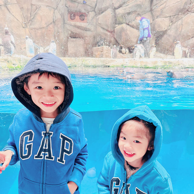 海洋公園唔洗排隊😝
