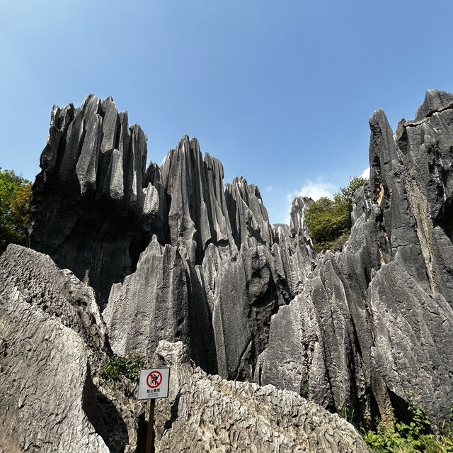 Kunming-Stone forest 