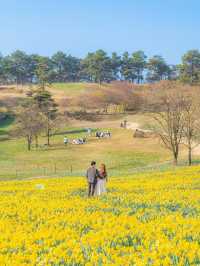 🌼 지리산치즈랜드 🌼