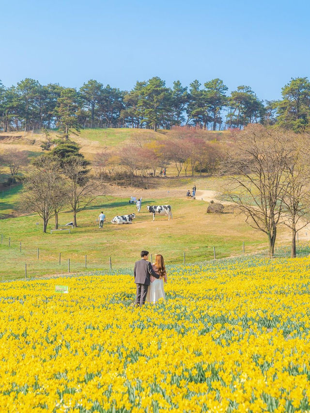 🌼 지리산치즈랜드 🌼