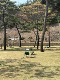 🍀 푸릇푸릇한 풀밭 정원에서 뛰어놀며 🏝️ 봄휴양 분위기를 만끽해보아요!🍀