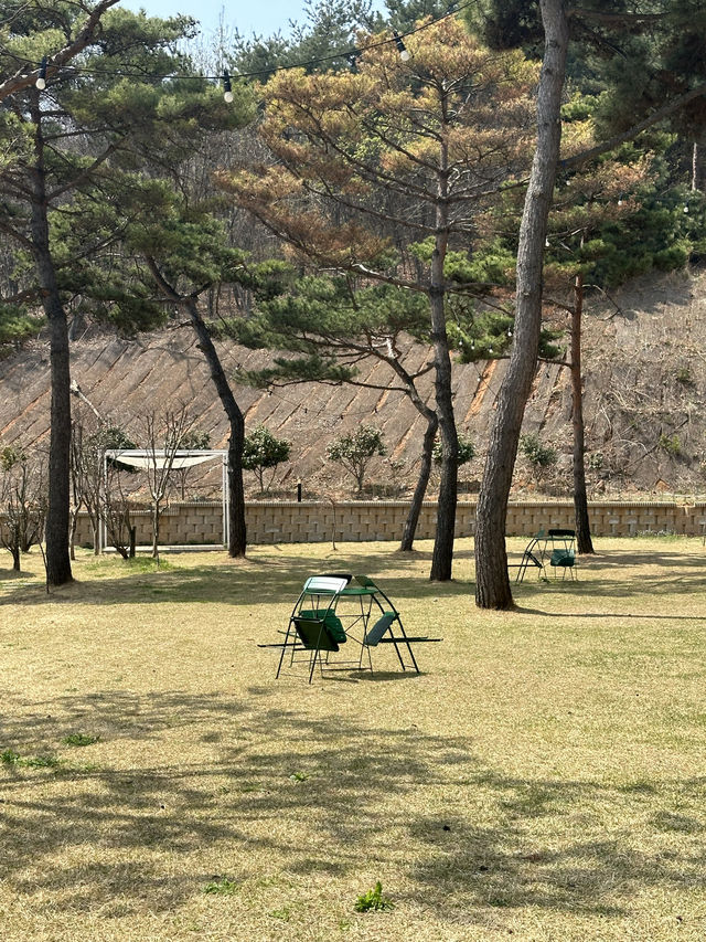 🍀 푸릇푸릇한 풀밭 정원에서 뛰어놀며 🏝️ 봄휴양 분위기를 만끽해보아요!🍀