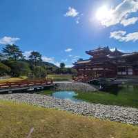 【京都】10円玉に描かれているスポット⭐平等院⭐