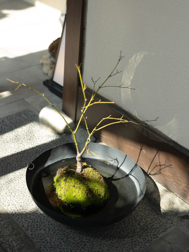 【青森】八戸でまるで苔玉のようなスイーツを食す！