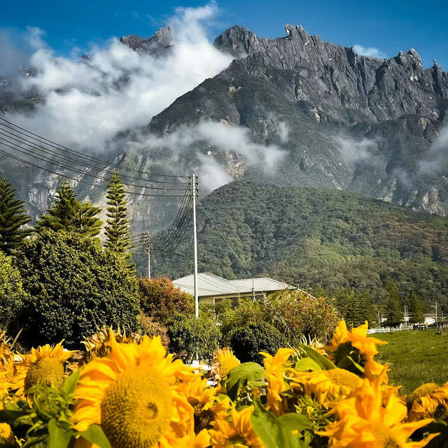 【臺北景點】陽明山國家公園：自然奇景