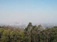 Hike up Mount Coot-Tha