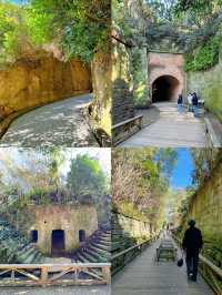 忙しい人の現実逃避スポット🌿都心から約1時半で行ける無人島🫣🏝🩵【猿島】