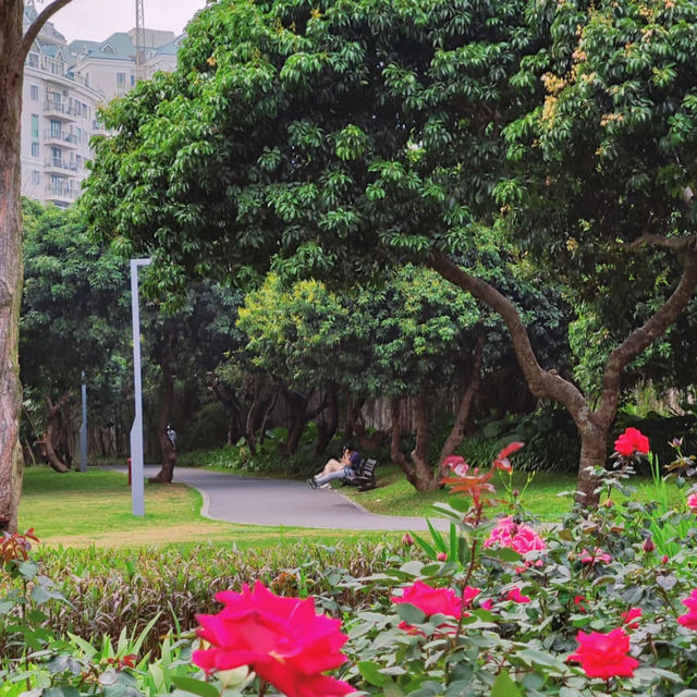 澳門望廈山市政公園：花海仙境
