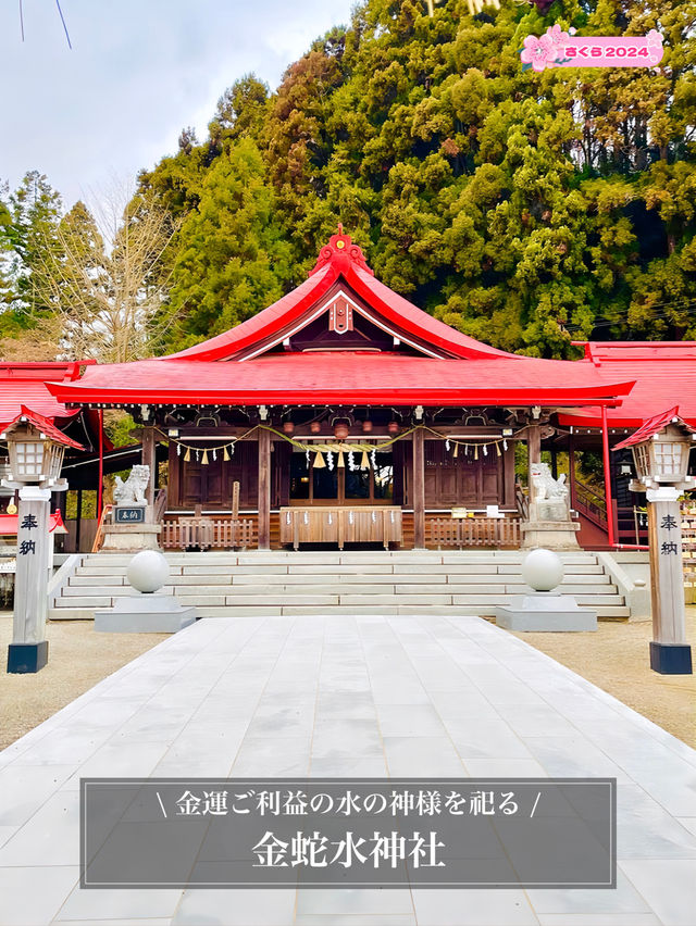 【金蛇水神社/宮城県】金運ご利益の水の神様を祀る