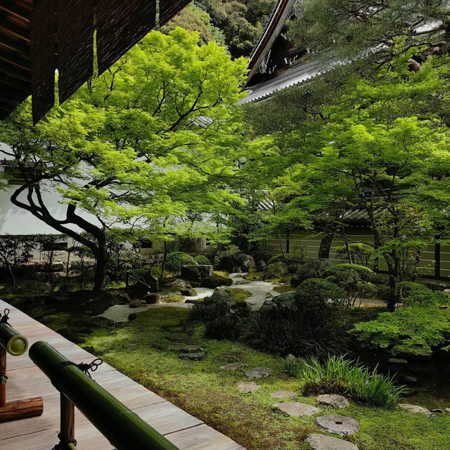 慧光院：絕美日式苔庭園，感受古代貴族的禪意情調