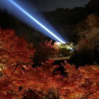 kiyomizu dera illumination 🏮🍁