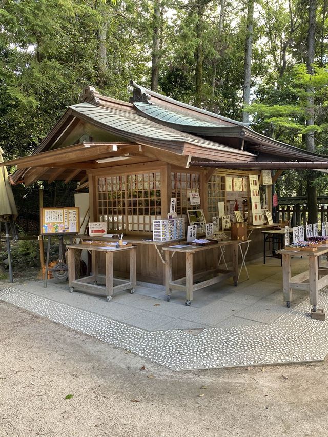 【京都】世界遺産の神社