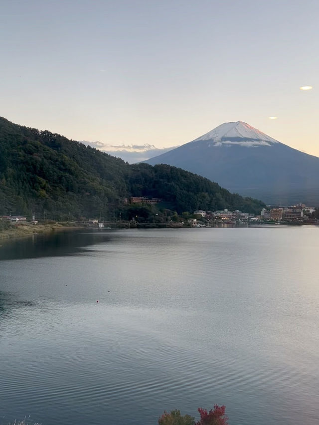 【山梨/河口湖】部屋から富士山が見える温泉宿🗻
