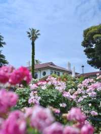【神奈川】今が見頃‼️しかも無料🤩みなとみらい×バラ園で季節を感じよう✨