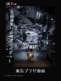 【東京】都内おすすめ写真スポット８選！FOCUS Vol.019