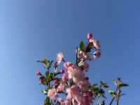 【春天好去處】佐敦谷公園：山上綠洲，城裡忘憂❤️