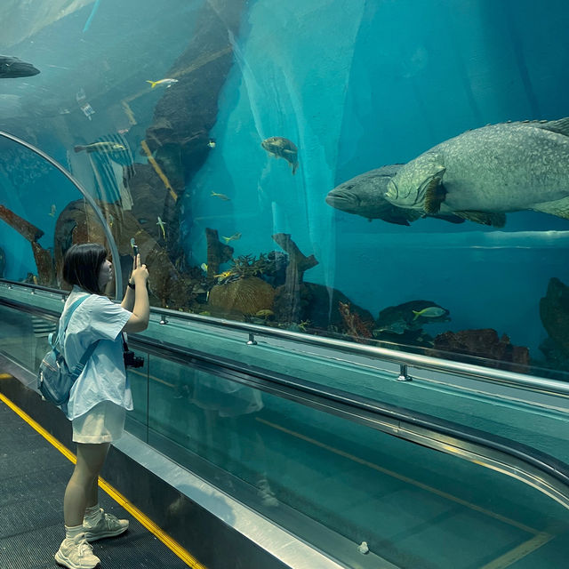 RAYONG AQUARIUM  