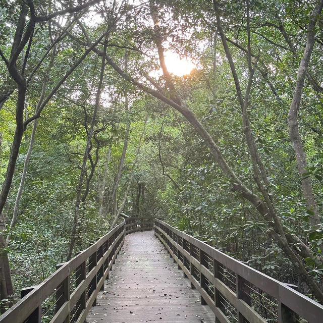 大恩公園：自然景觀，春天好去處