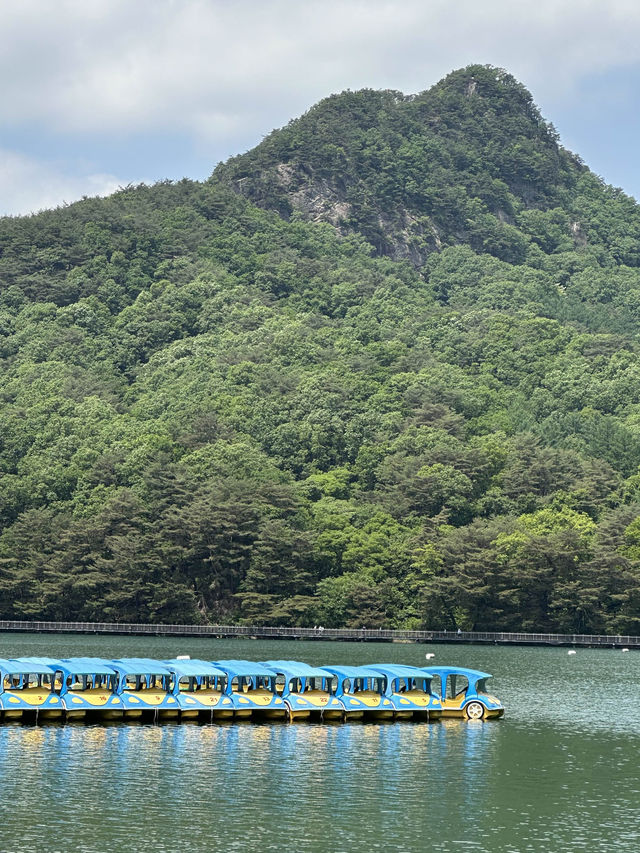 서울 근교, 포천에서 🏝️ 여름을 풍성하게 느껴볼 수 있는 여름 나들이 여행지 추천 ! 💫