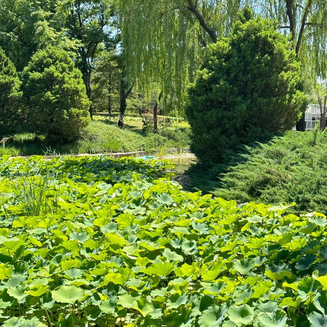 ```東湖公園～適合放鬆的綠色勝地```