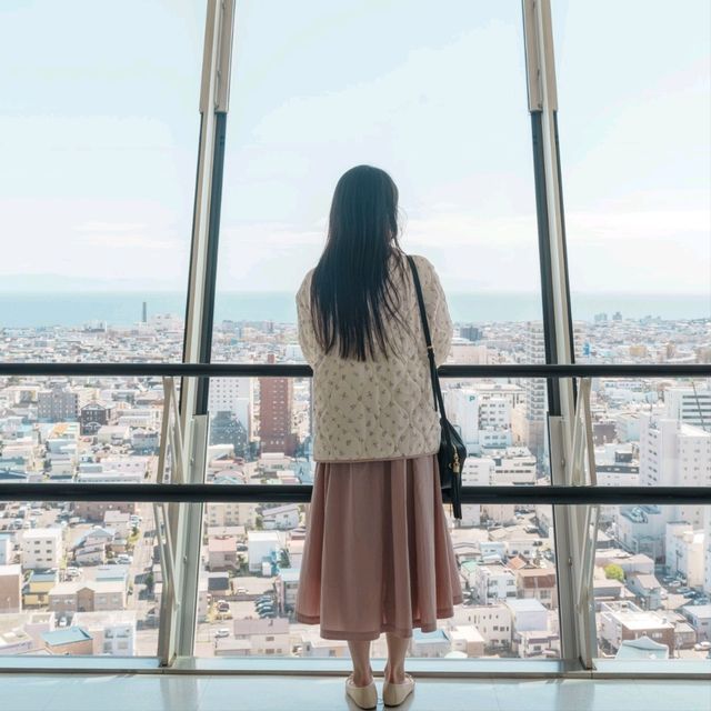 고료카쿠 타워에서 내려다보는 별 모양 벛꽃은 정말 최고
