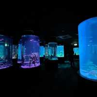 #อควาเรียมพัทยา Underwater World Pattaya อควอเรียม