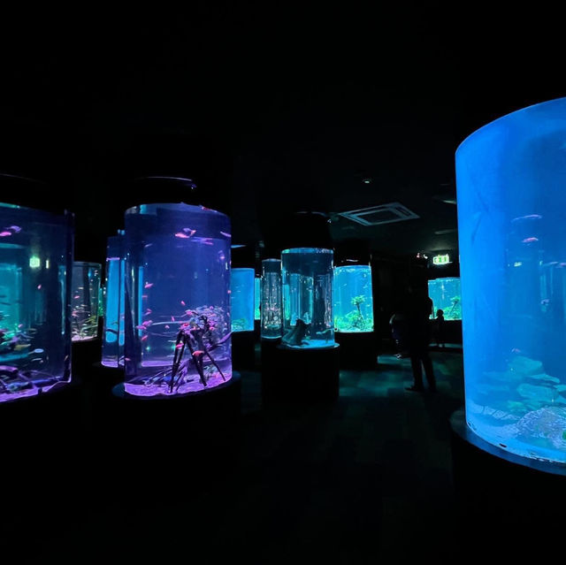 #อควาเรียมพัทยา Underwater World Pattaya อควอเรียม