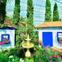 🌹 Istanbul landmarks at Rose Romance