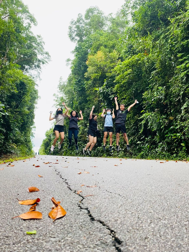 🇸🇬 Nature walk at Lower Peirce Reservoir Park, Singapore