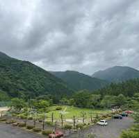 21세기 숲공원