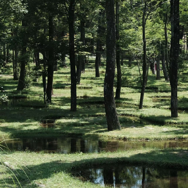 德裕山國立公園：大自然魅力