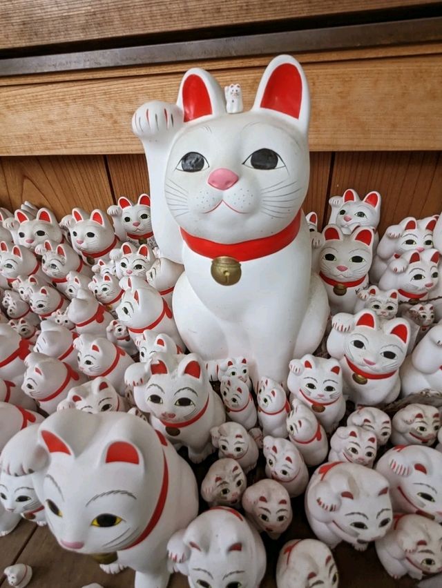 日本東京-來豪德寺帶隻招福貓回家吧！