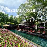 Chala Number 6 โรงแรมห้าดาวบรรยากาศสวนสวย