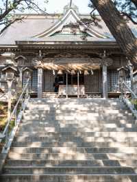【青森にもあった！】千本鳥居絶景スポット⛩️⛩️高山稲荷神社